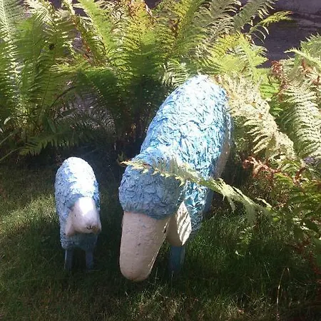 Wohnen Und Garten In Der Stadt