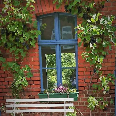 Lejlighed Wohnen Und Garten In Der Stadt